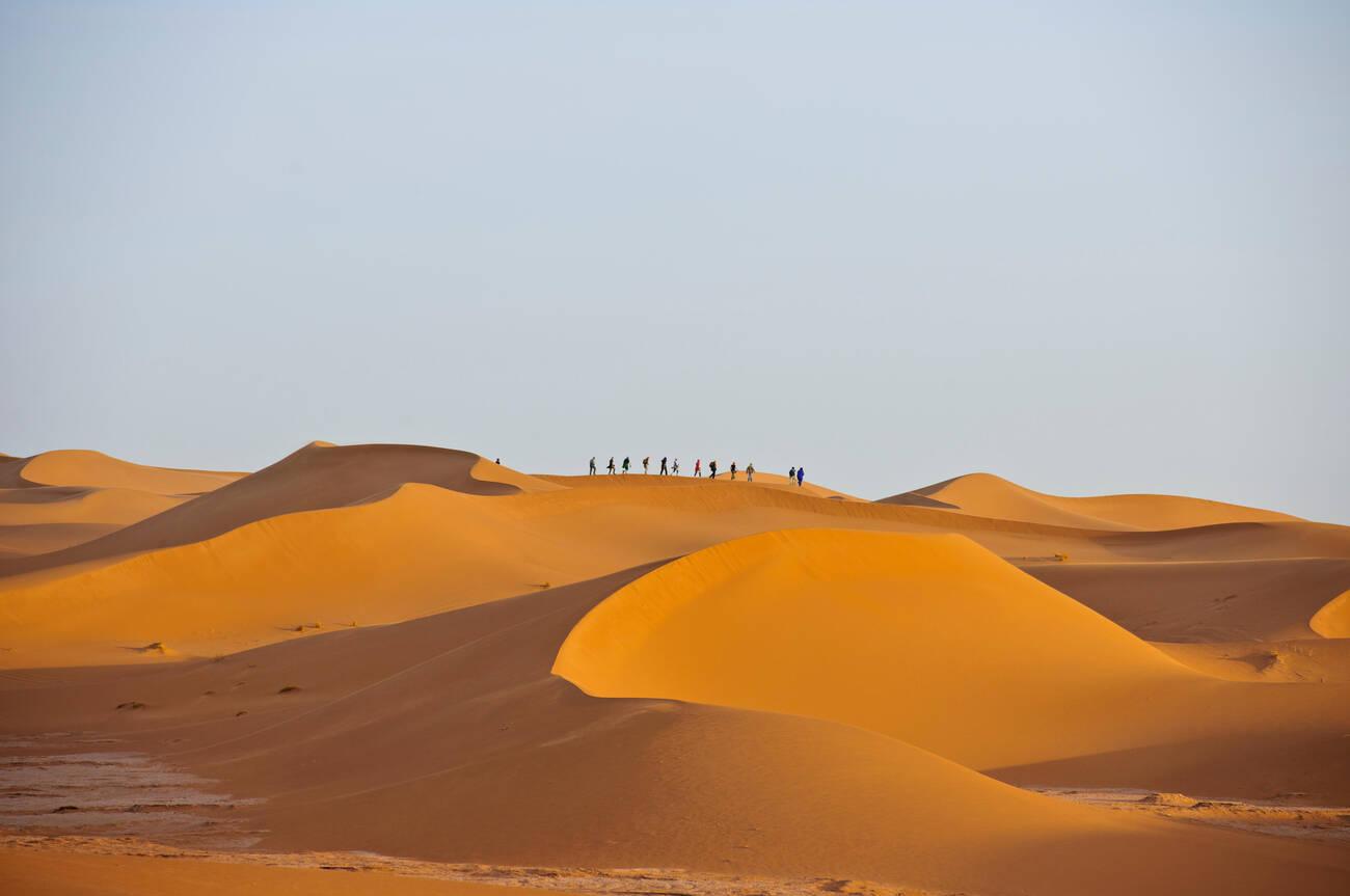 Sahara Desert