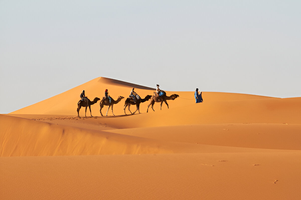 Camel trekking in the Sahara