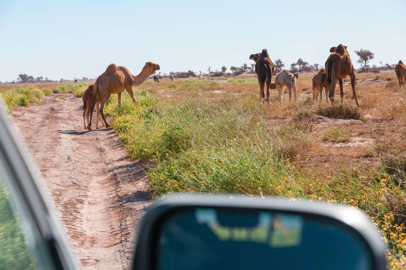 Community project in Morocco